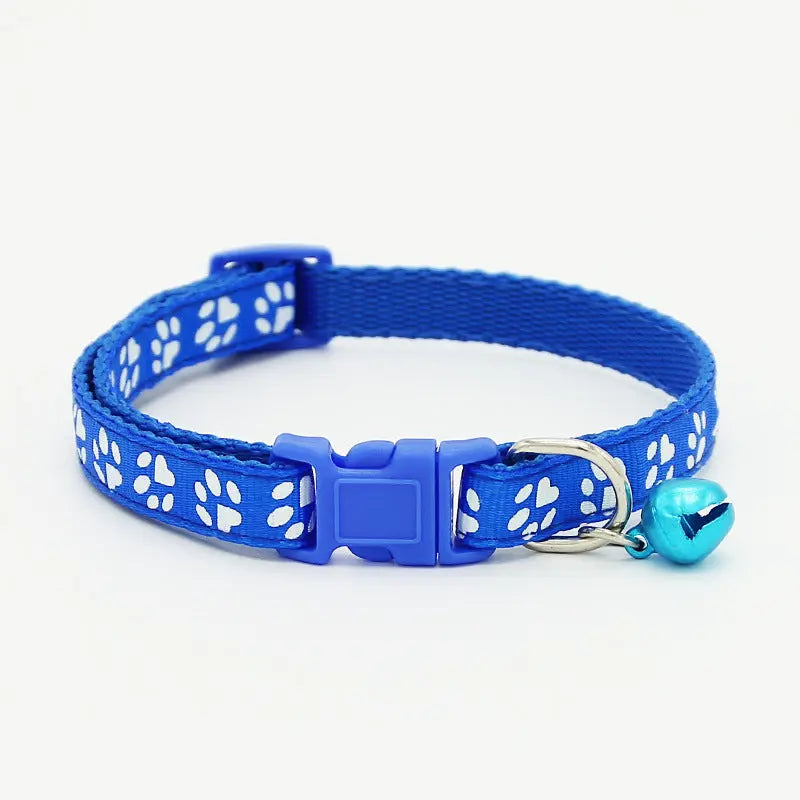 The pet cat wears a bell collar null