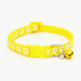 The pet cat wears a bell collar