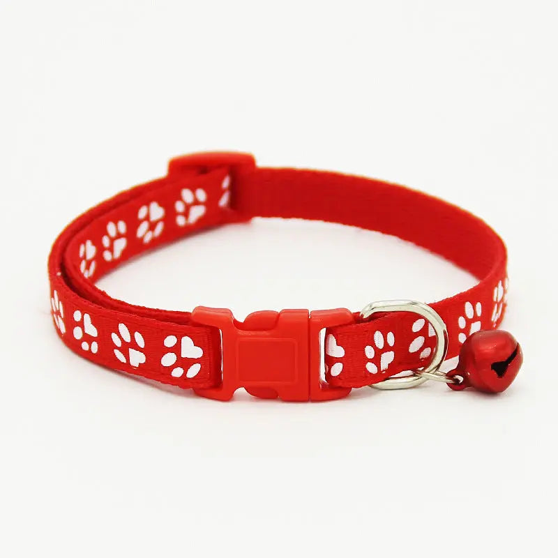 The pet cat wears a bell collar null