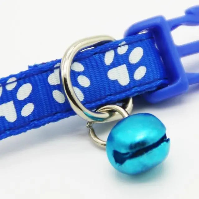 The pet cat wears a bell collar null