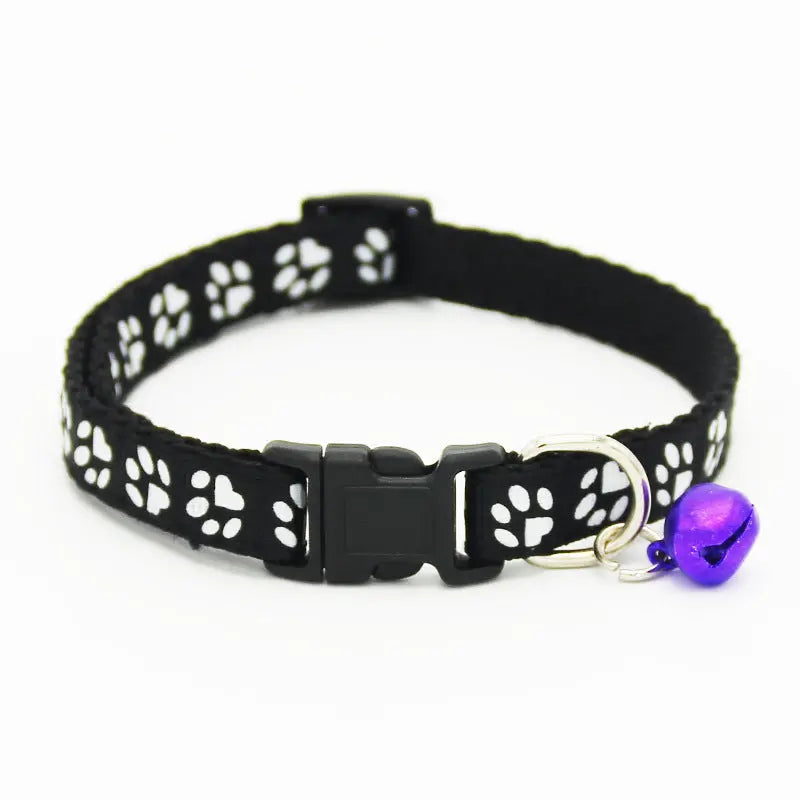 The pet cat wears a bell collar null