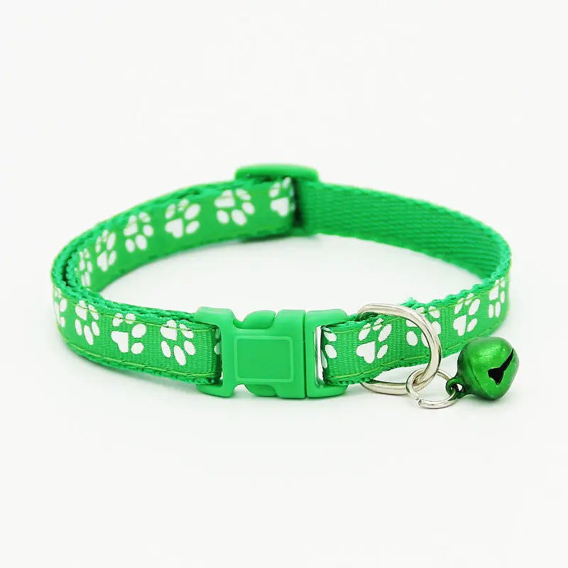The pet cat wears a bell collar null