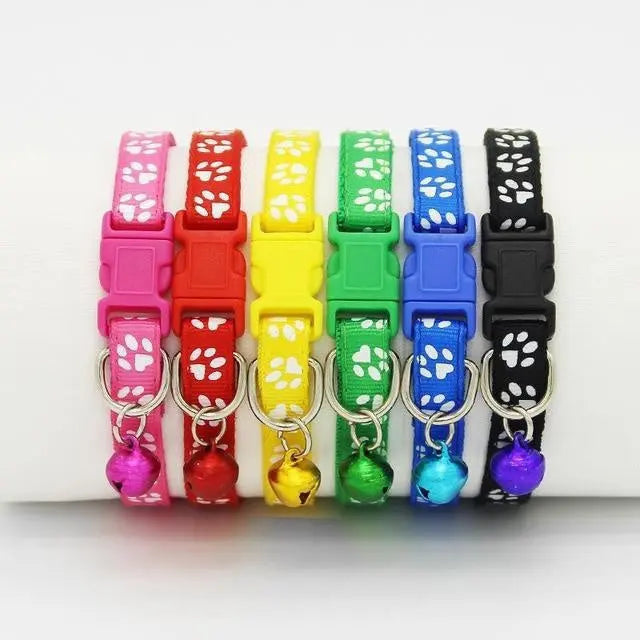 The pet cat wears a bell collar null