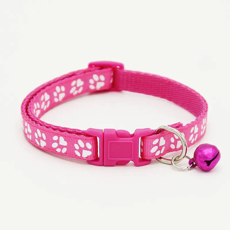 The pet cat wears a bell collar null