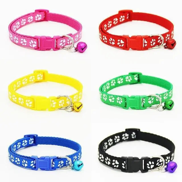 The pet cat wears a bell collar null
