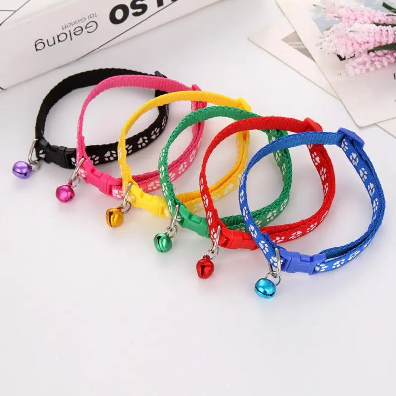 The pet cat wears a bell collar null